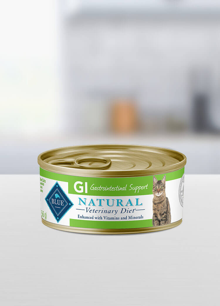 wet cat food gastrointestinal