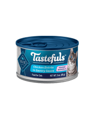 My cat sales hates wet food