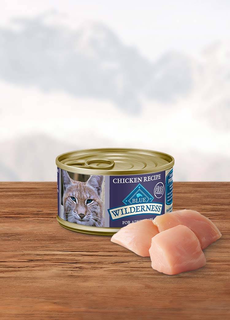 Blue cat hotsell food grain free