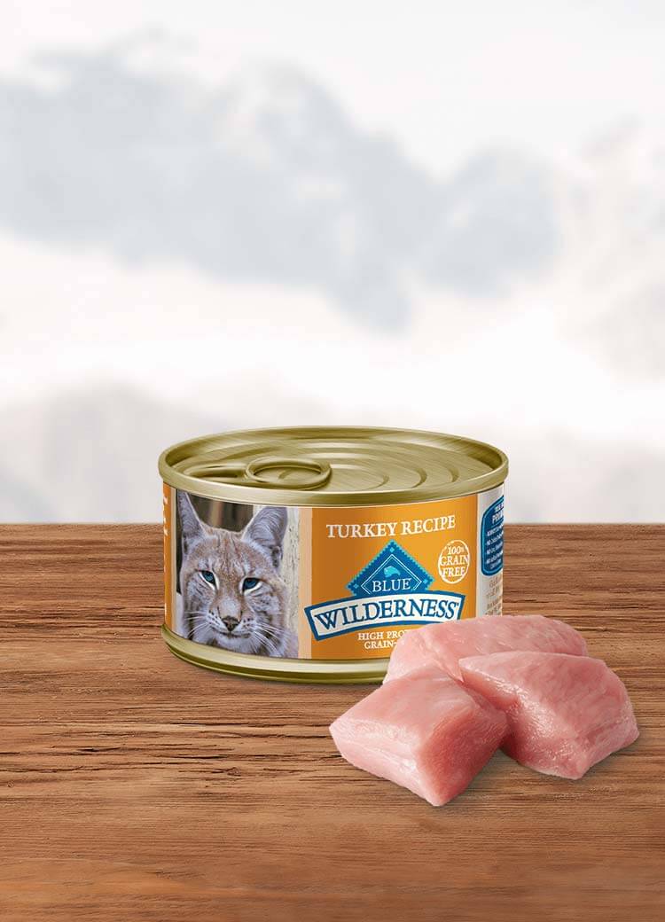 Blue buffalo turkey and potato hot sale cat food