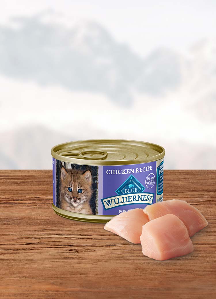 BLUE Wilderness Wet Kitten Food Chicken Blue Buffalo