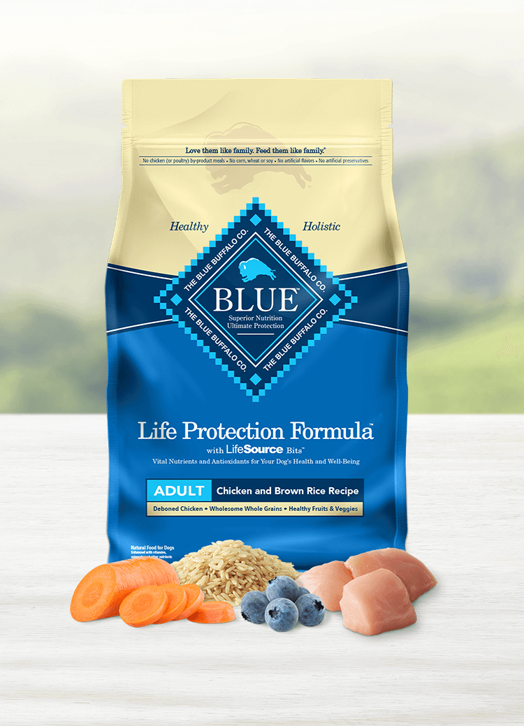 Blue buffalo life 2025 protection dog food