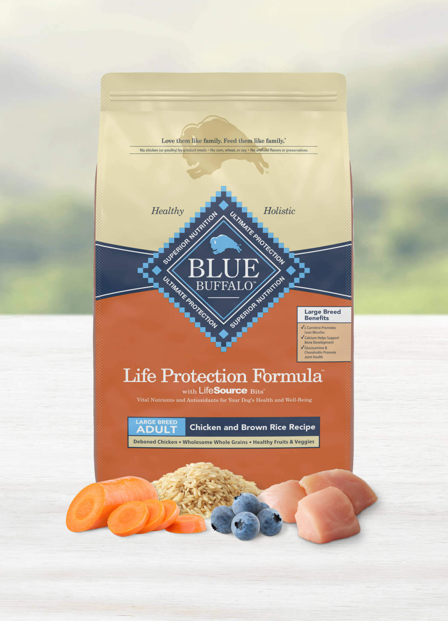 Blue Buffalo Blue Life Protection Formula Toy Breed Adult Chicken & Brown  Rice Recipe Dry Dog Food, 4 lbs.