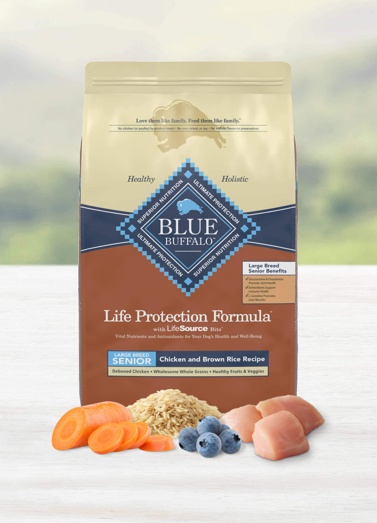 Blue buffalo senior dry dog food best sale