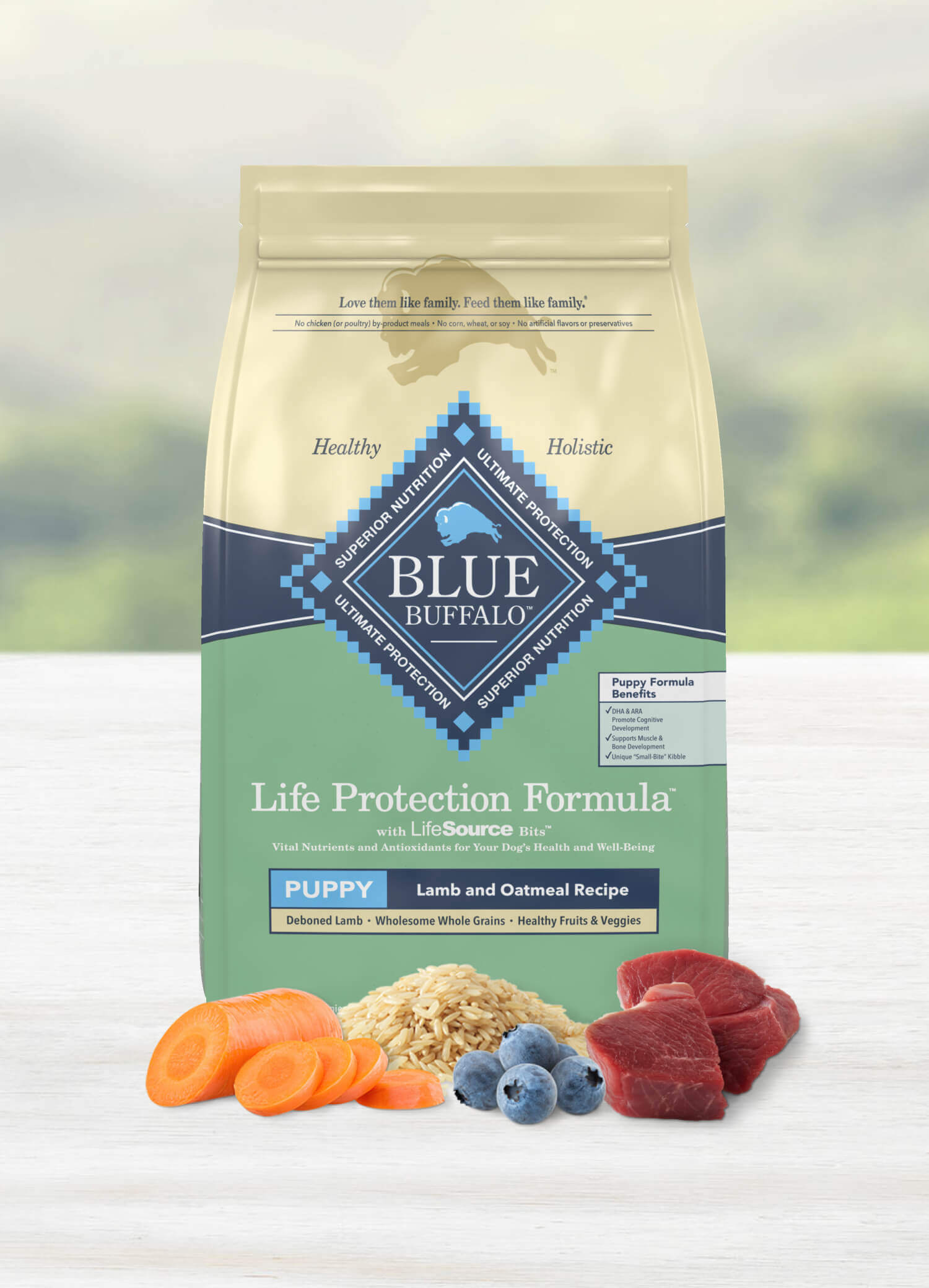 Life Protection Formula Dry Puppy Food Lamb Oatmeal Recipe