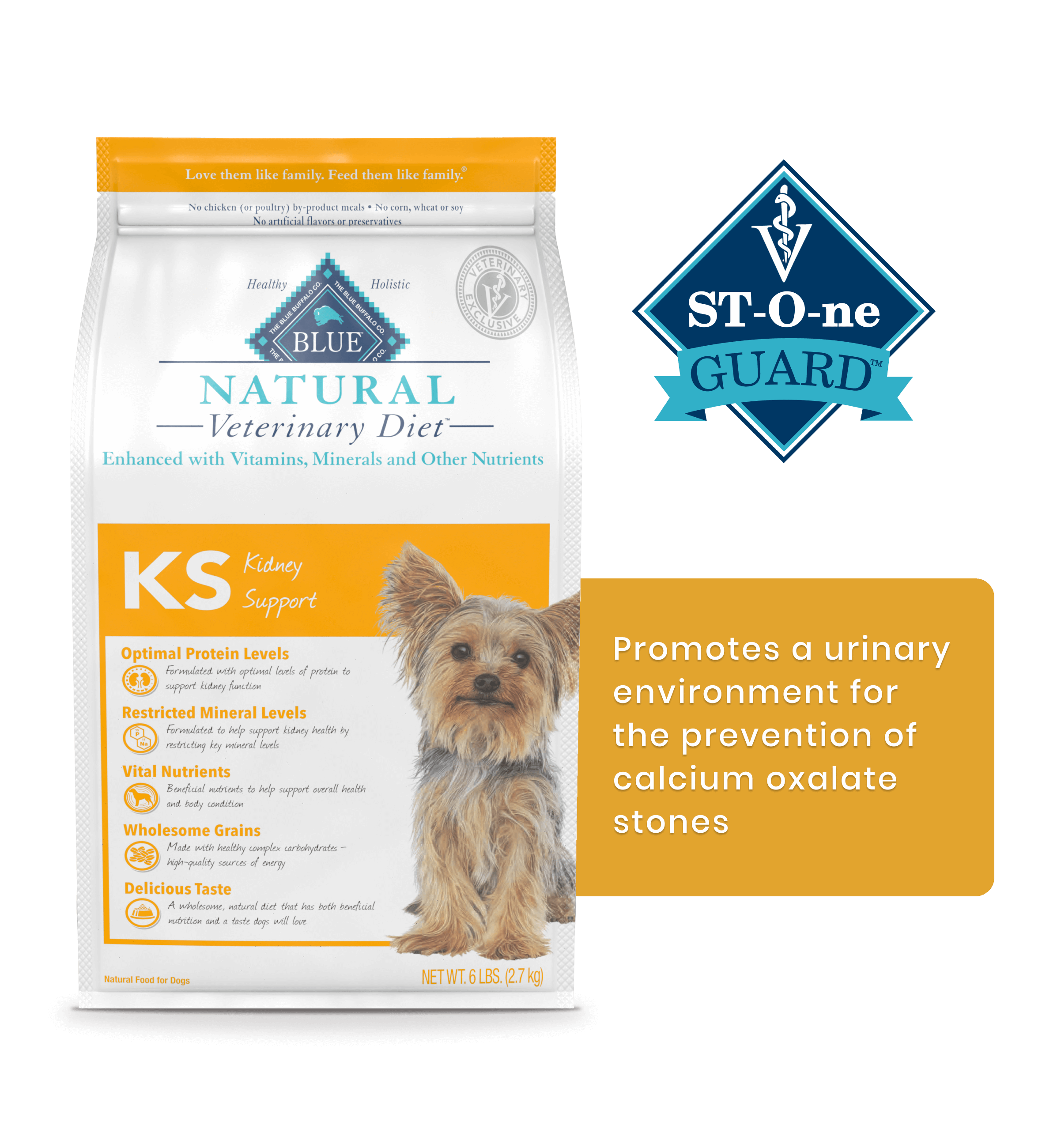 Best dry dog food for store kidney disease