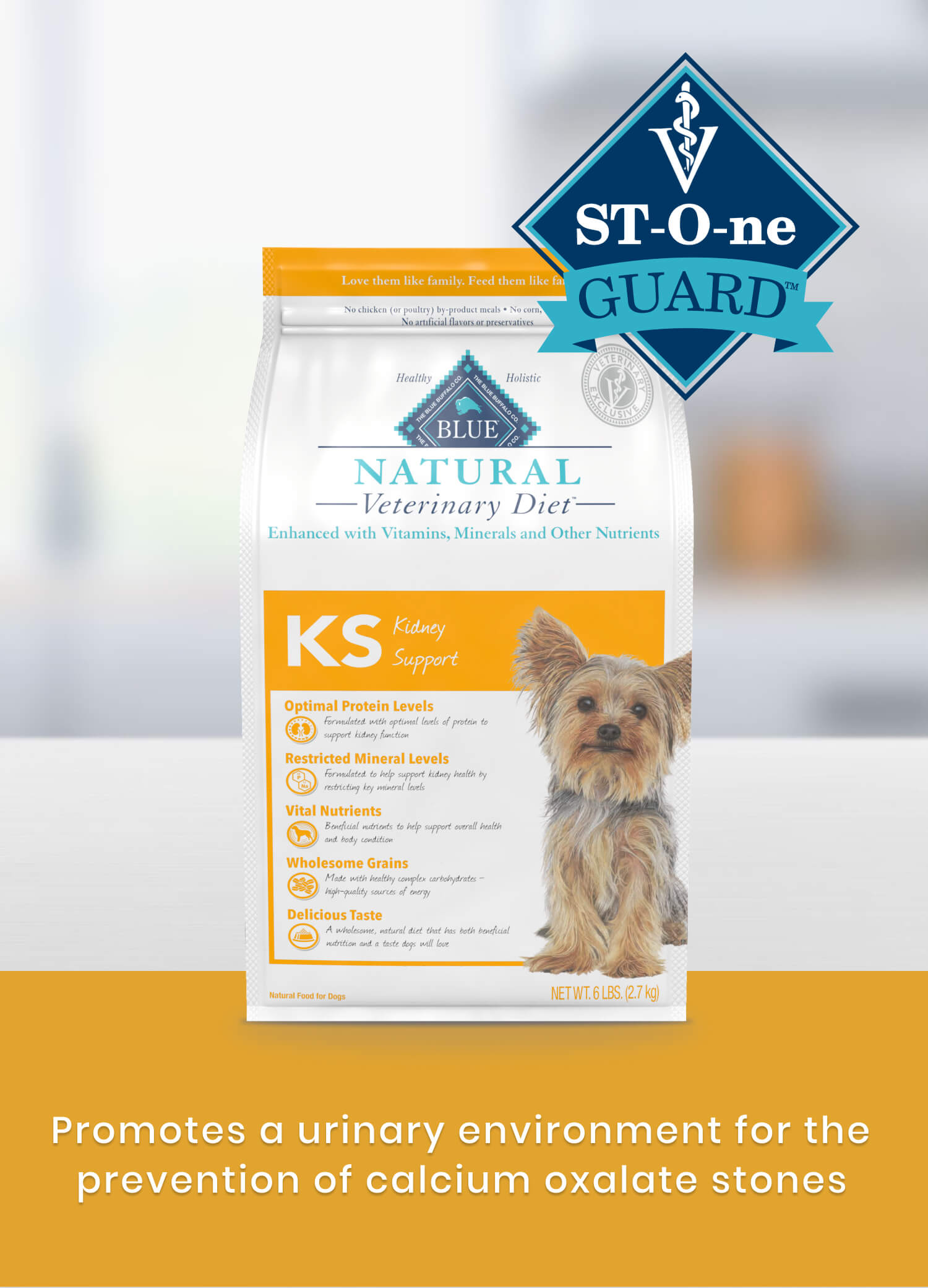 Dog food clearance for renal problems