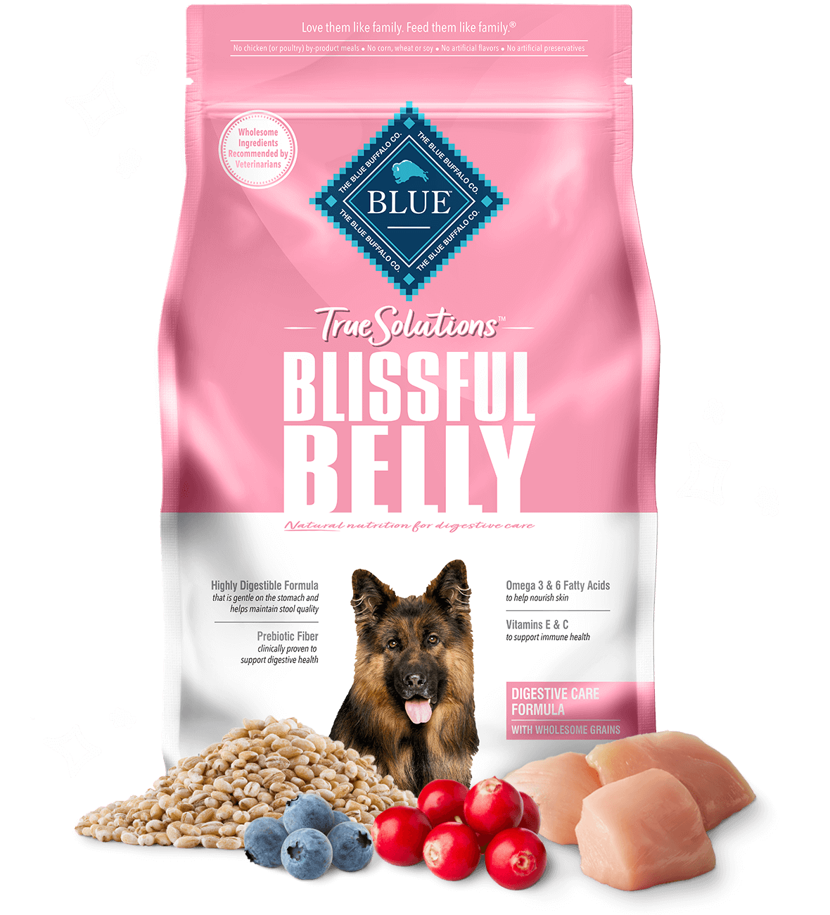 Best dry dog food for 2024 sensitive stomach