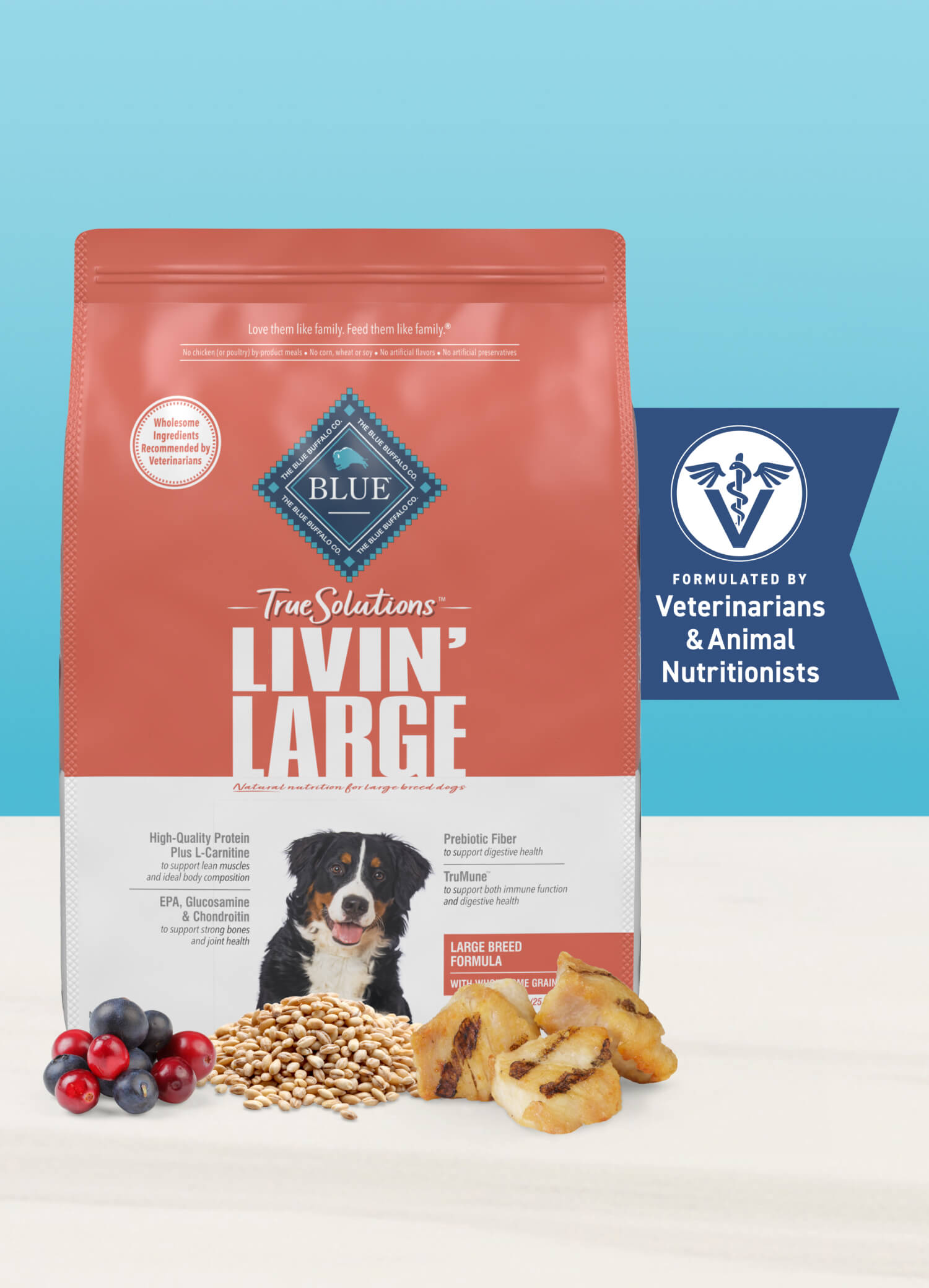 Bag of BLUE True Solutions™ Livin’ Large dog food