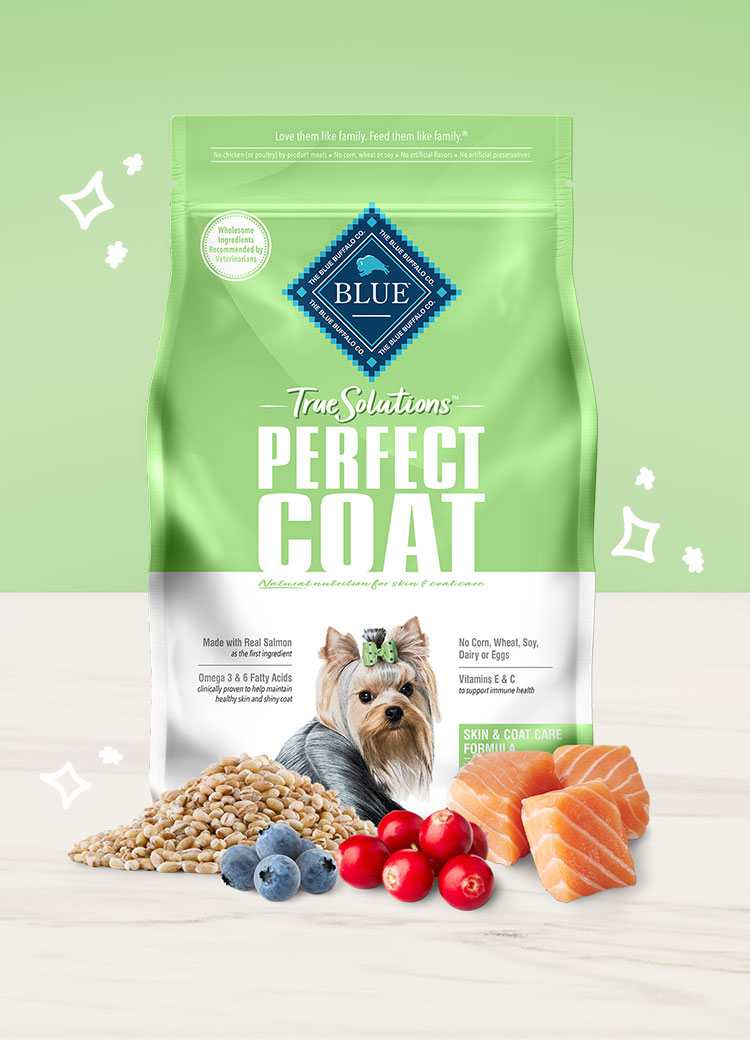 blue dog food for yorkies