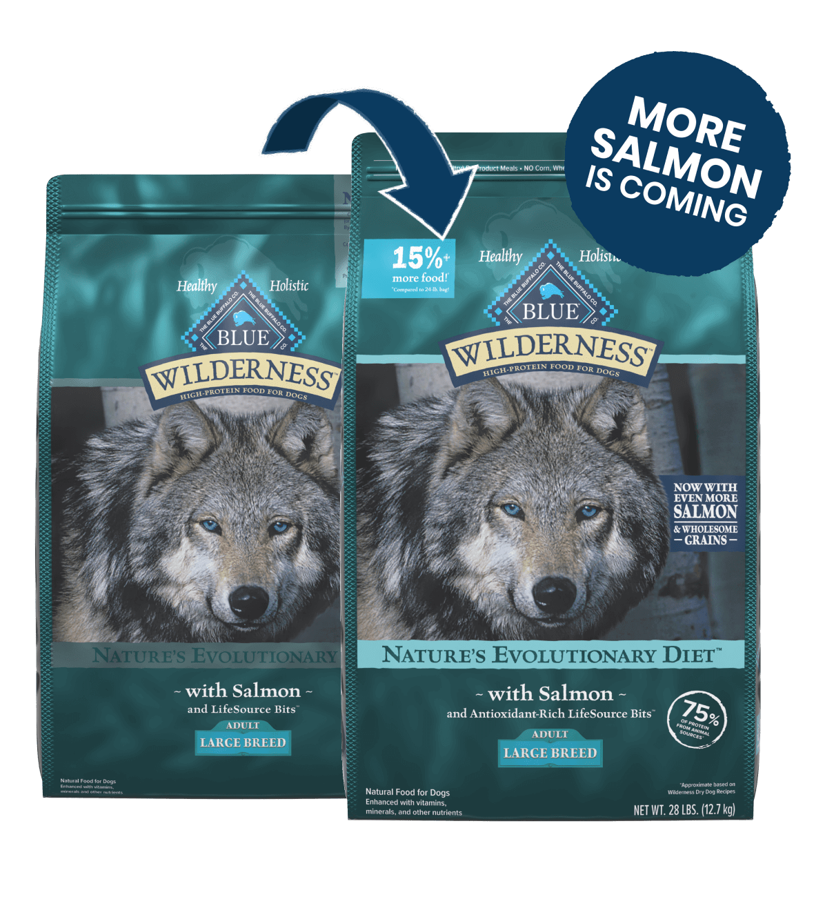 blue wilderness large breed adult salmon dog dry food