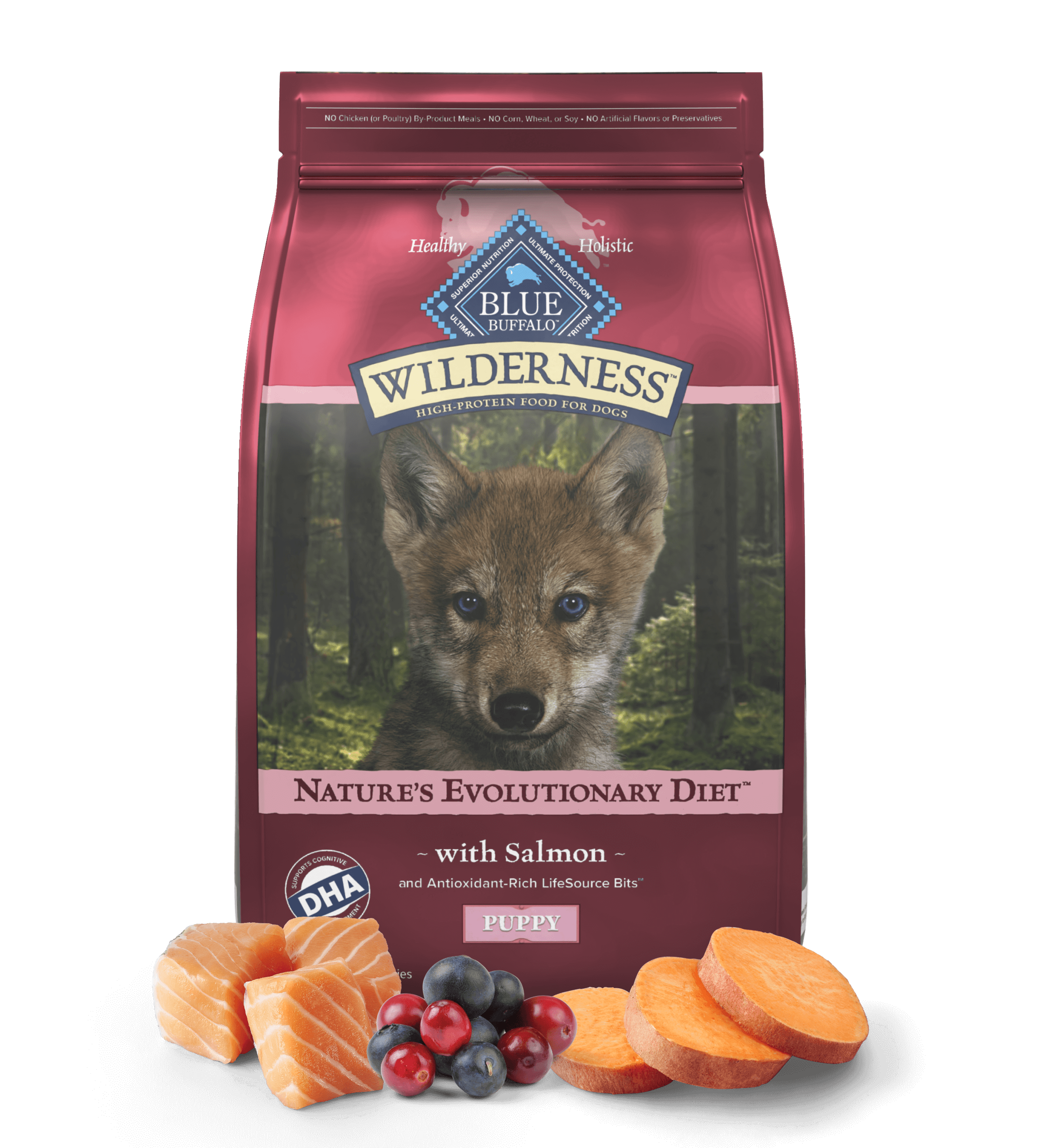 A bag of Wilderness salmon puppy food is behind salmon filets, a mound of cranberries and blueberries, and slices of sweet potato. 