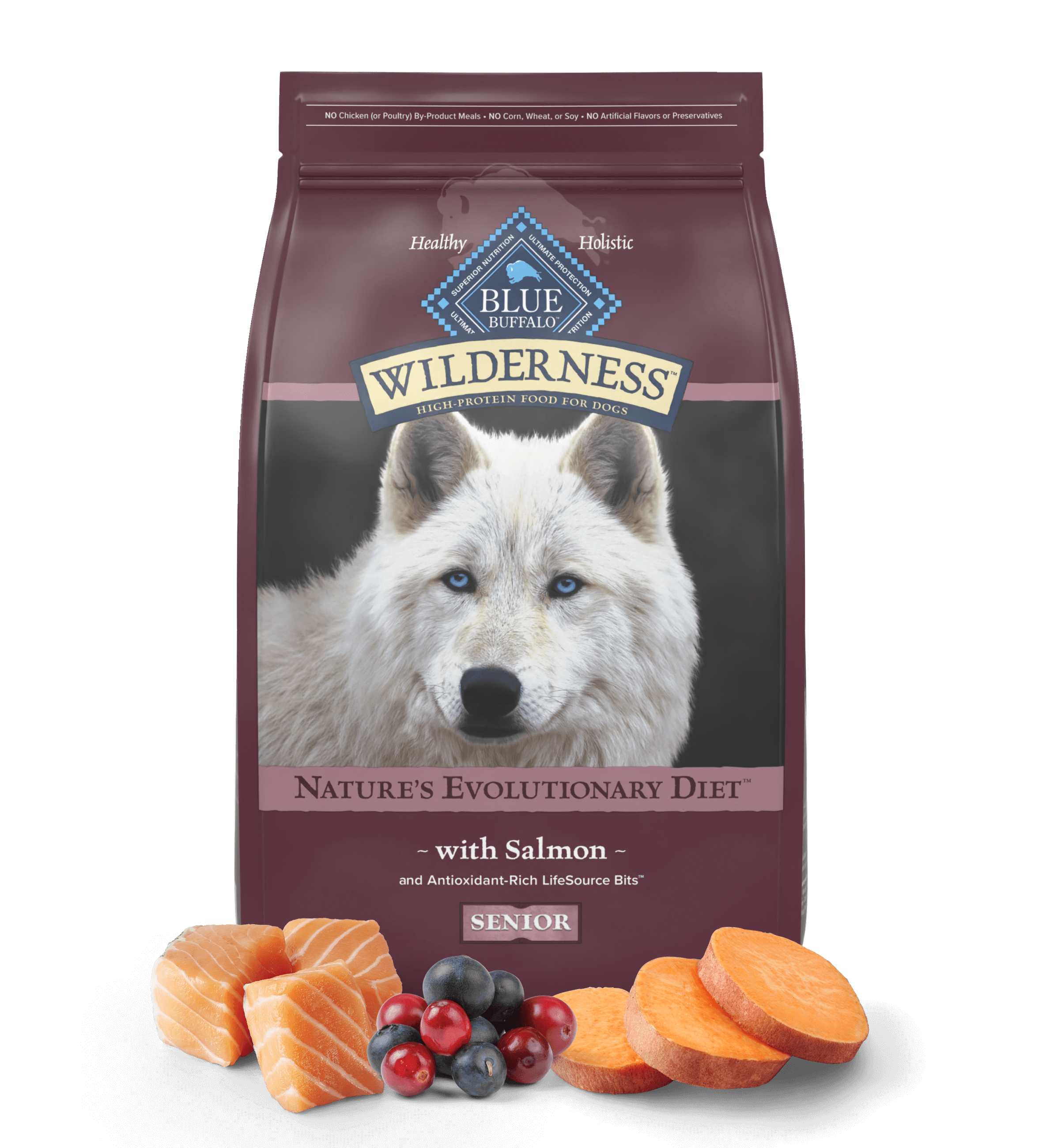 A bag of Wilderness salmon senior food is behind salmon filets, a mound of cranberries and blueberries, and slices of sweet potato.