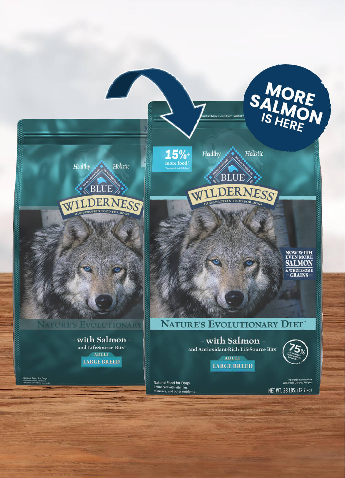 bearded dragon bedding type