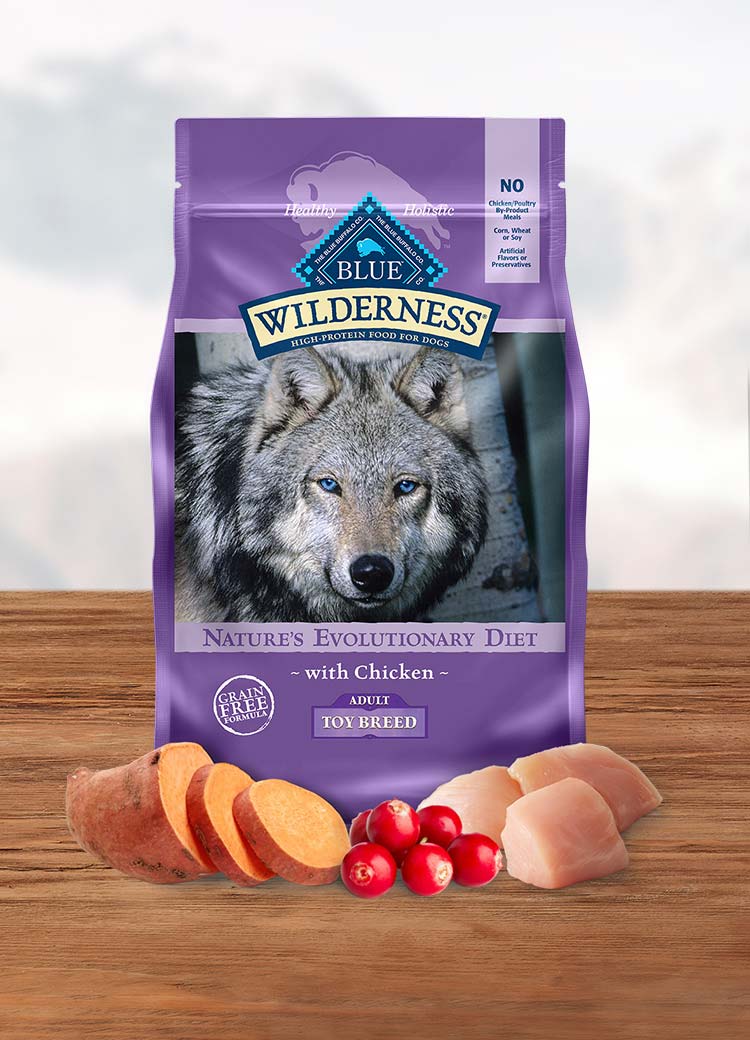 hills kidney care dog food