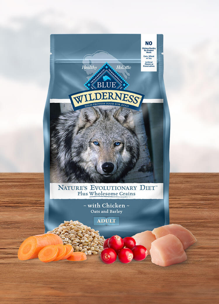 is blue buffalo grain free good for dogs