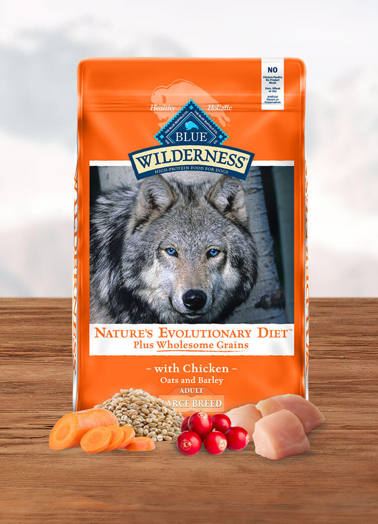 is blue wilderness a good dog food