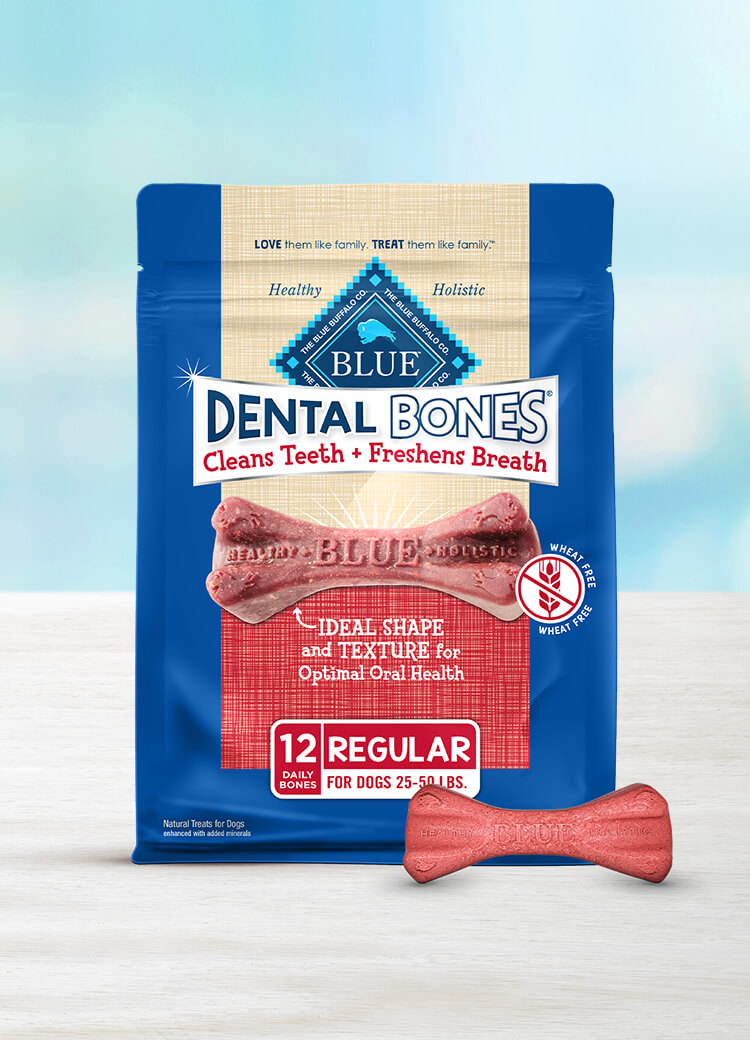 BLUE Dental Bones Dog Treats Regular Size Dental Chews