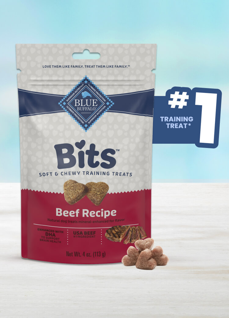 Blue Buffalo Bits Tender Beef Soft and Chewy Training Treats dog treats, #1 choice for training treats, providing a flavorful and nutritious snack for dogs.