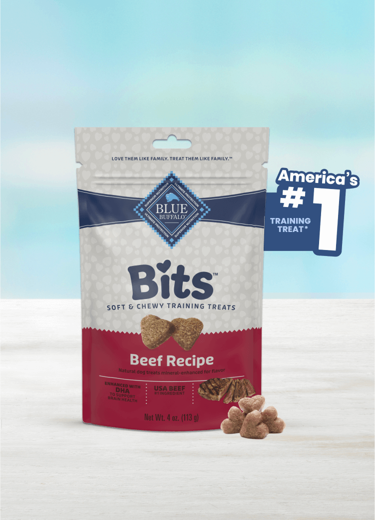 A bag of Bits Beef Recipe dog treats on a light surface with "America's #1 Training Treat" beside it.