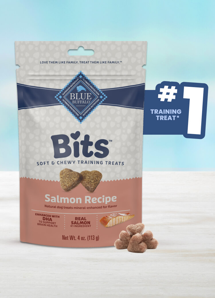 Blue Buffalo Bits Soft & Chewy Training Treats Savory Salmon Recipe dog treats bites, ideal for training, featuring bite-sized pieces for rewarding your pet.