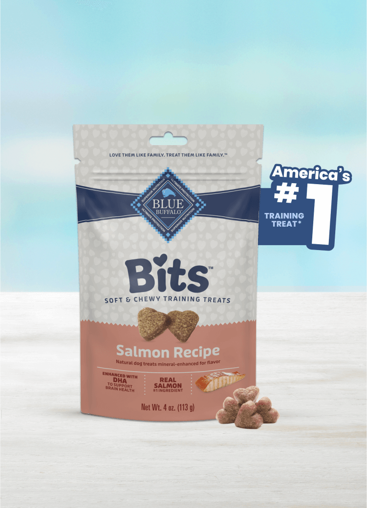 A bag of Bits Salmon Recipe dog treats sits on a table with treats scattered nearby.