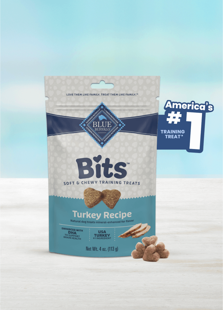 blue bits tempting turkey soft training treats dog treats