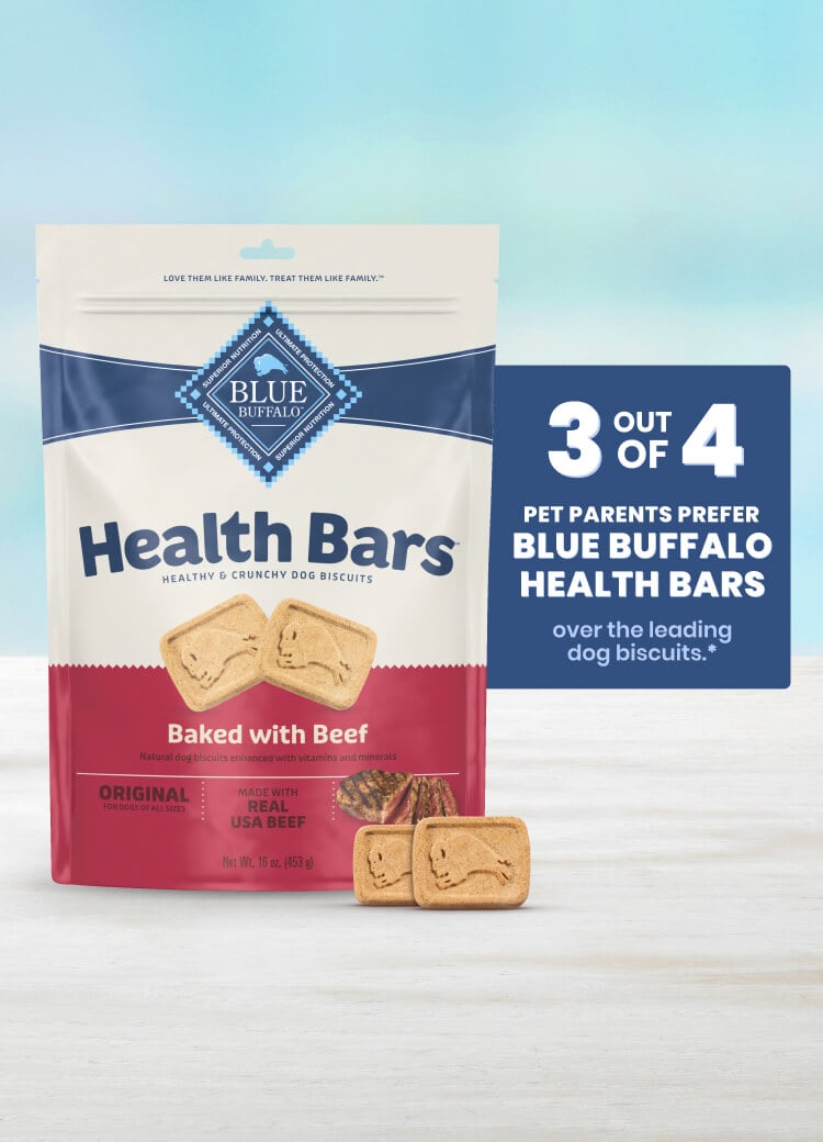 A bag of Health Bars baked beef flavor dog biscuits stands upright on a light surface.