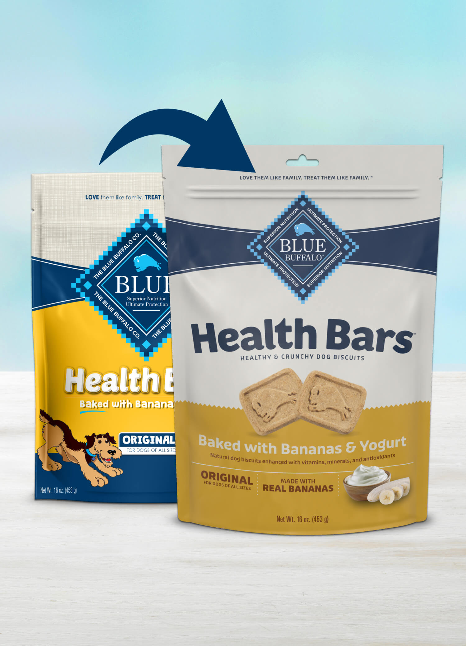 BLUE Health Bars With Banana and Yogurt