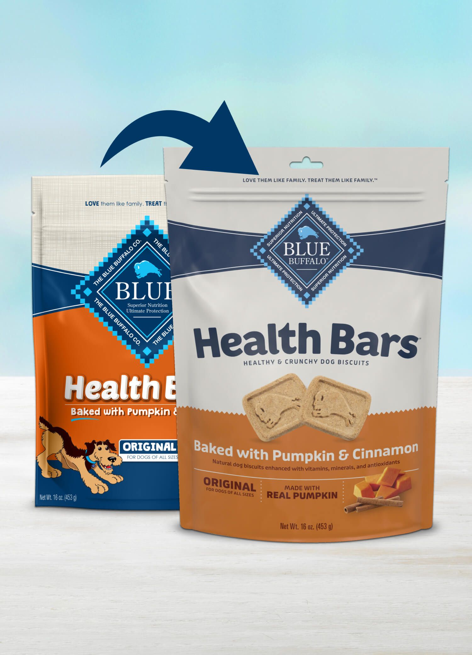 BLUE Health Bars With Pumpkin and Cinnamon