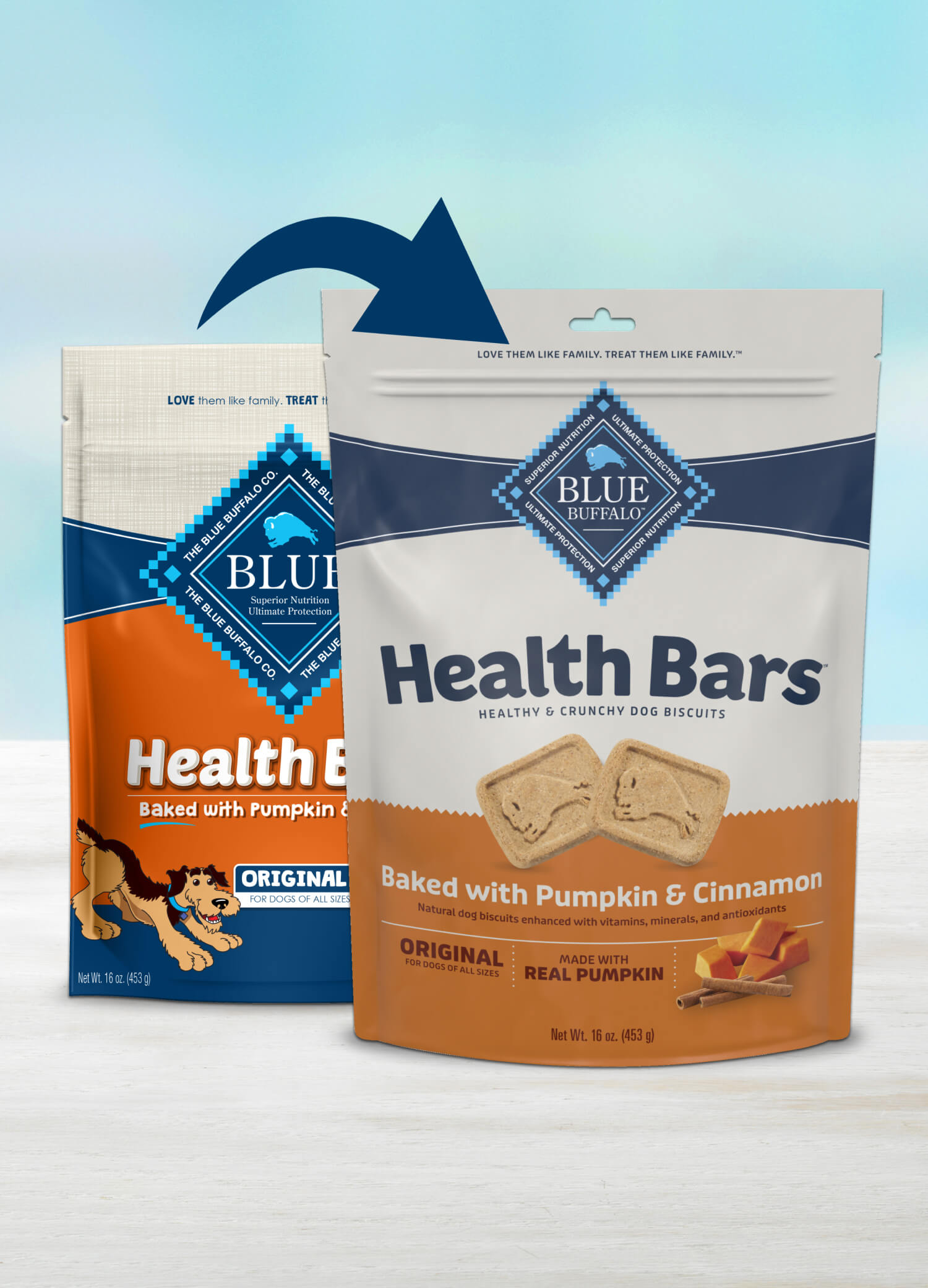 BLUE Health Bars Dog Treats Baked with Pumpkin and Cinnamon