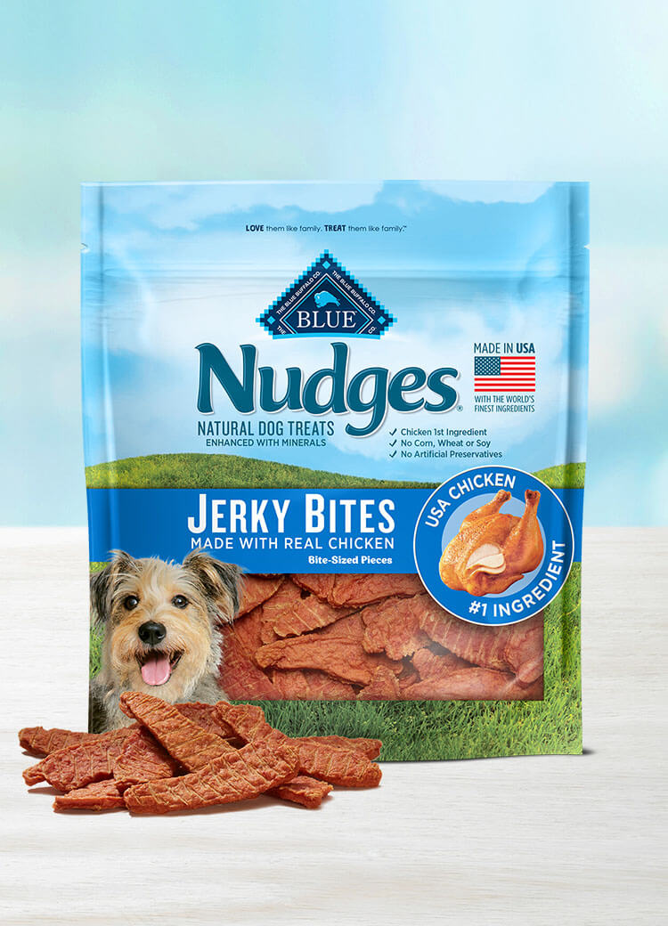 JerkyBites Chicken