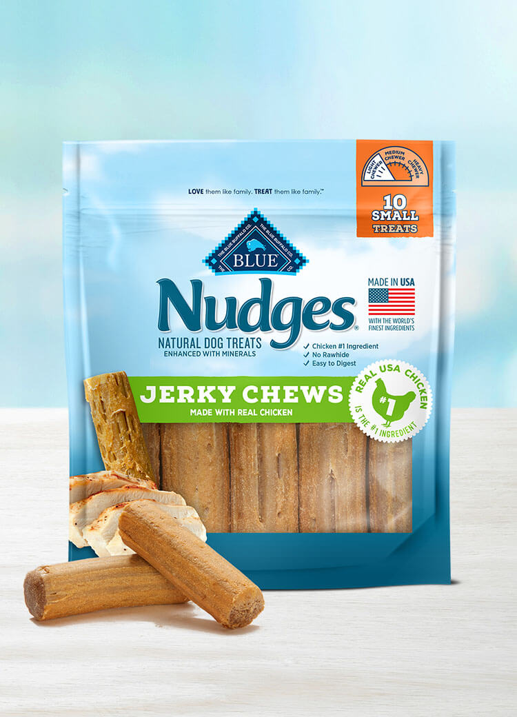 Nudges 2024 jerky bites