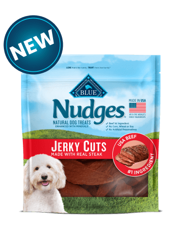 nudges jerky bites