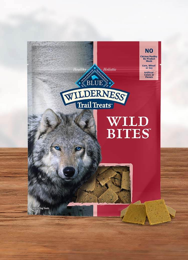 Wolf of 2025 wilderness wild bites