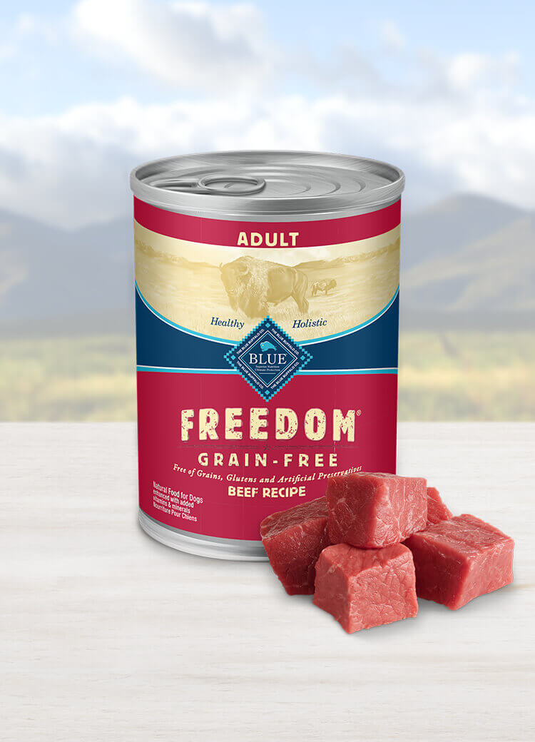 Beef free shop dog food