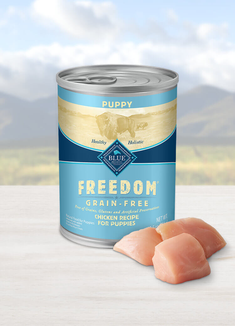 Blue buffalo puppy shop food grain free