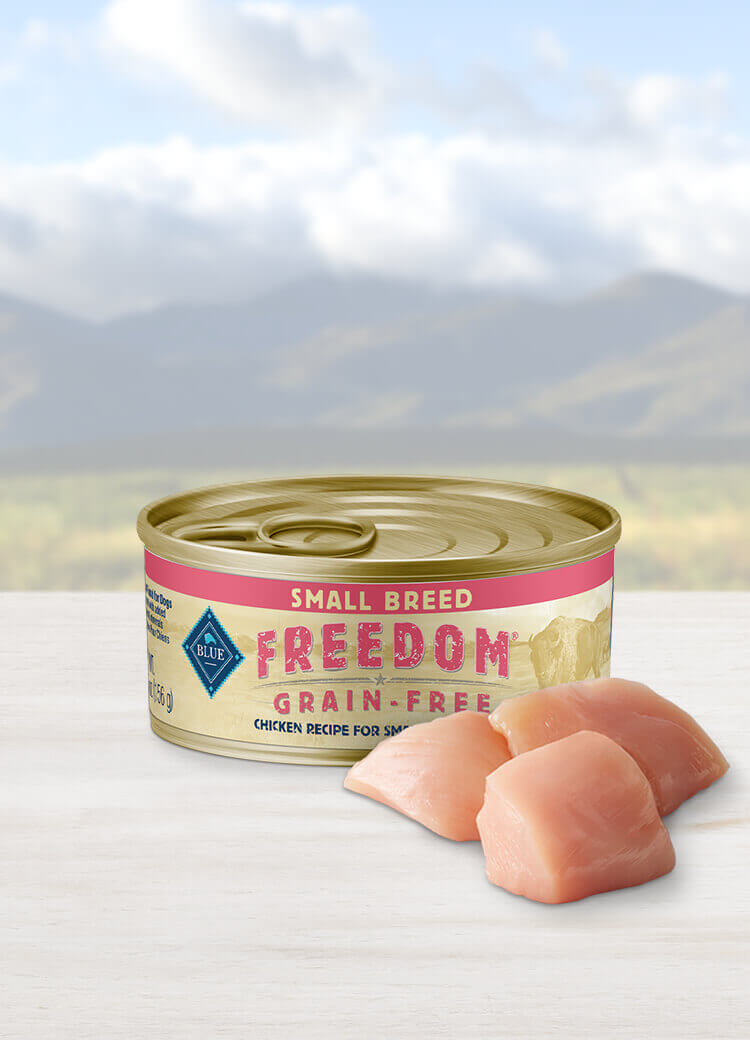 Blue freedom canned dog food best sale