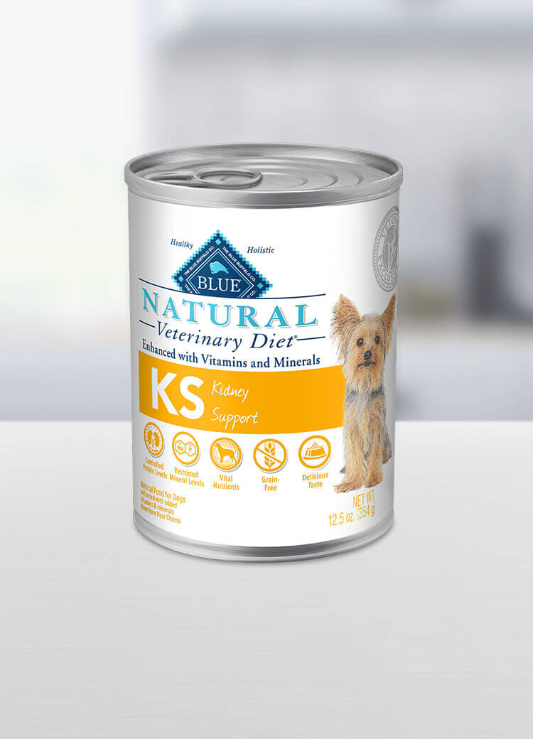 blue buffalo kidney support canned dog food