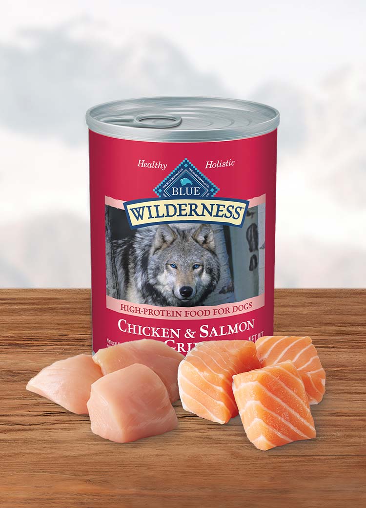 Natural salmon cheap dog food