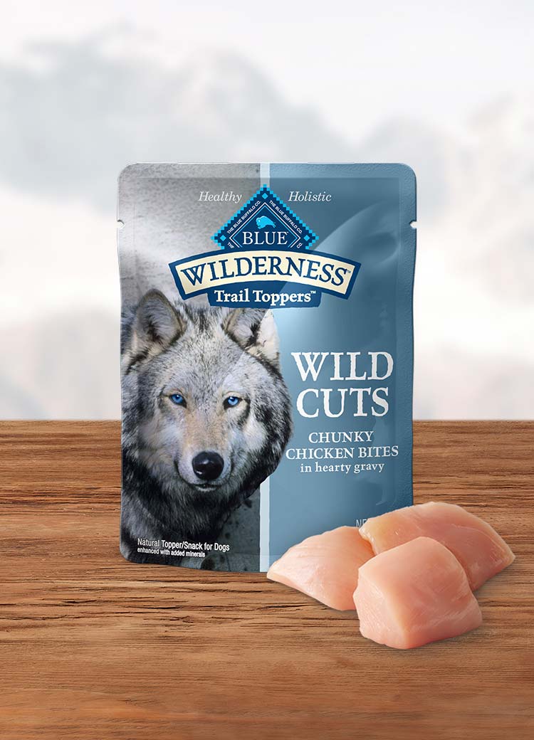 Wolf of wilderness clearance wet dog food review