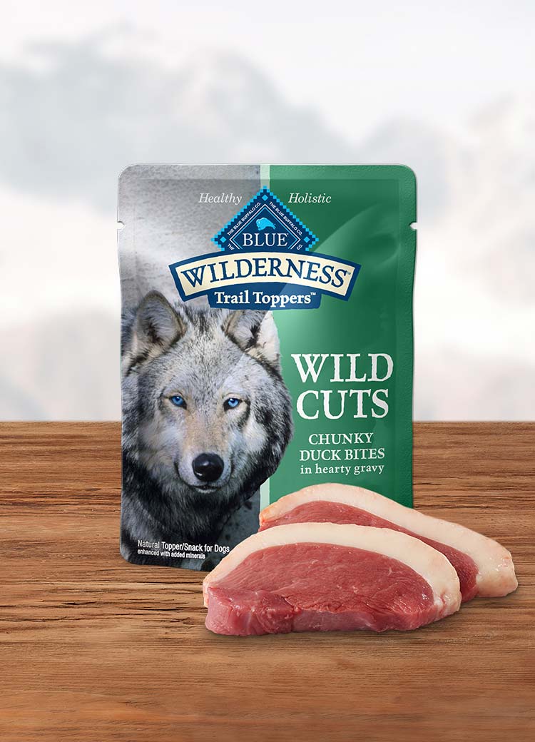 Blue wilderness dog outlet food wet