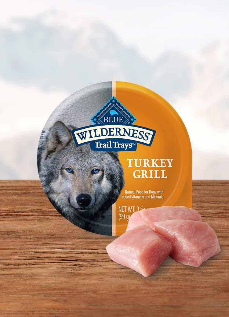 Blue wilderness 2024 dog food wet