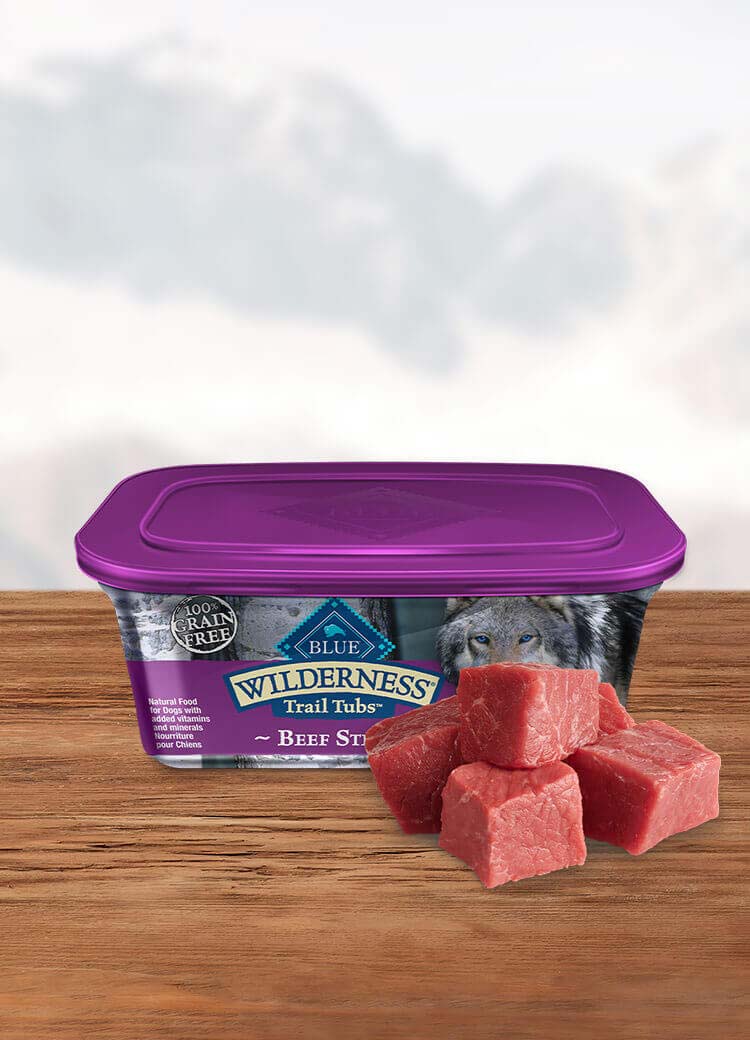 Tub of wet dog food