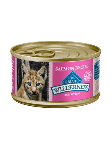 BLUE Wilderness® Wet Kitten Food - Salmon | Blue Buffalo Canada