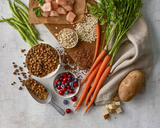 Ingredients on a table: cubed chicken, carrots, a potato, green beans, berries, grains, leafy greens, and kibble in bowls.