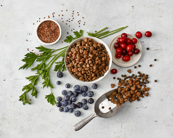 Dog food with blueberries, cranberries, flax seeds, parsley, and a scoop on a white surface.