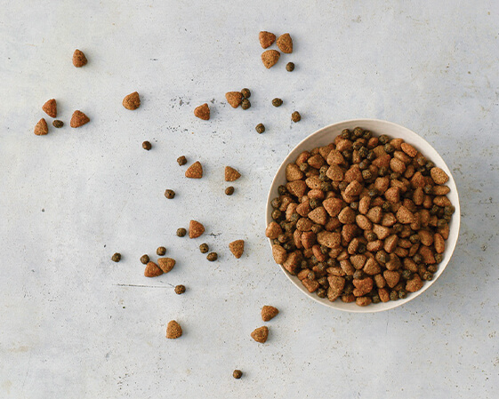A BB product in a dish