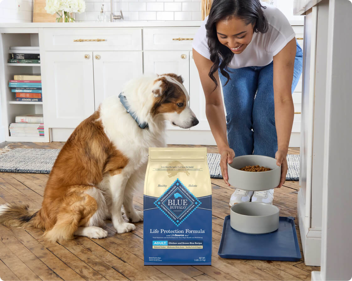 A person feeds their dog beside a large bag of Blue Buffalo Life Protection in the kitchen with love.